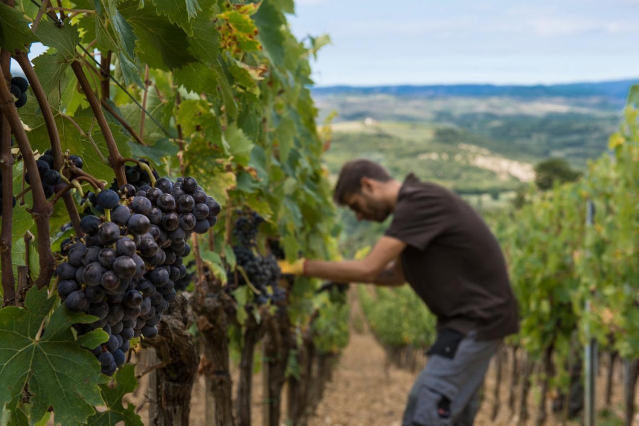 Castello Di Velona Resort, Thermal Spa & Winery Montalcino Exterior photo